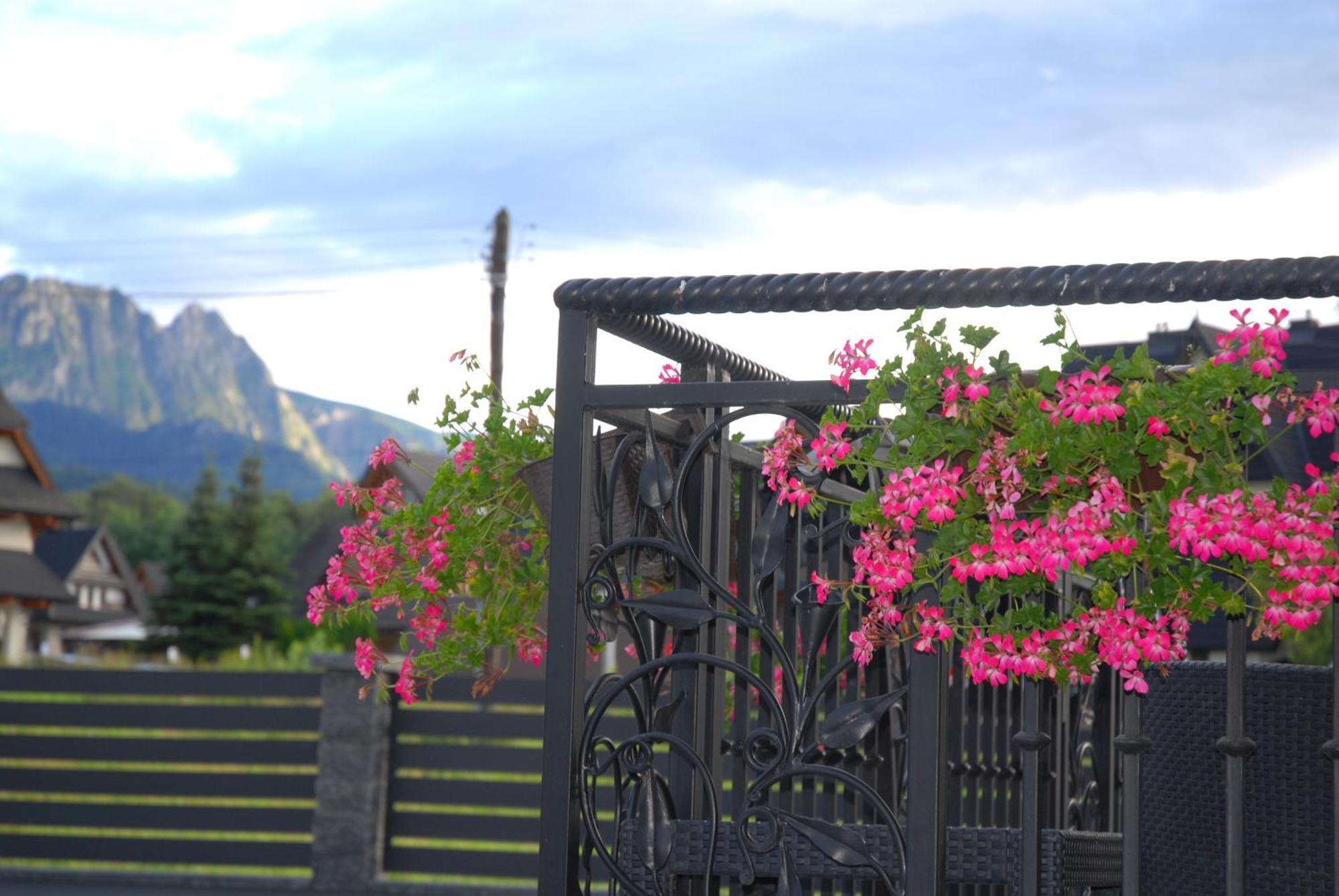Bed and Breakfast "Czarna Turnia "Закопане Экстерьер фото